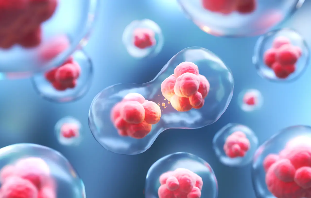 Biotechnology research